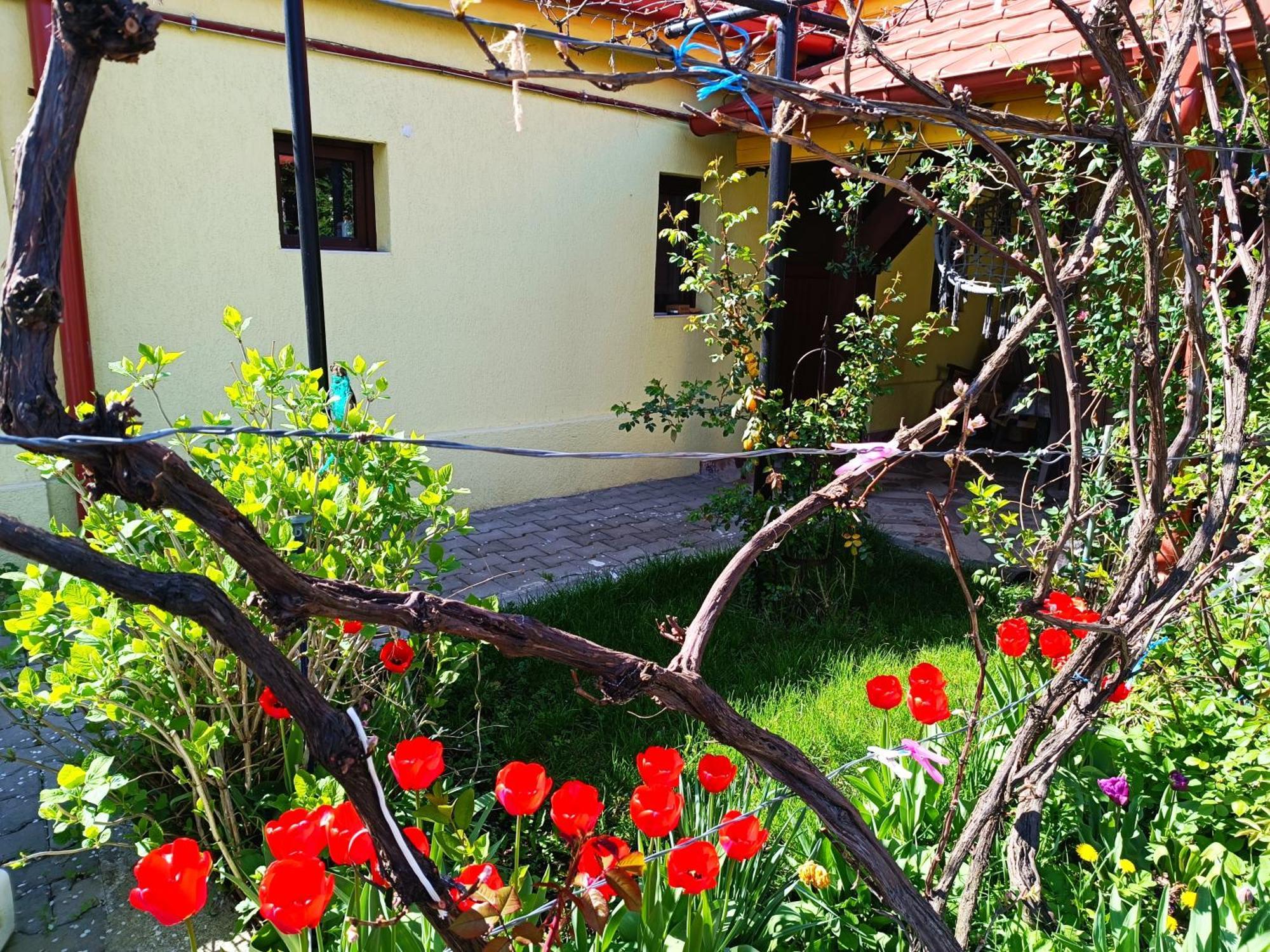 Casa Bunicilor Cisnădie Exterior foto